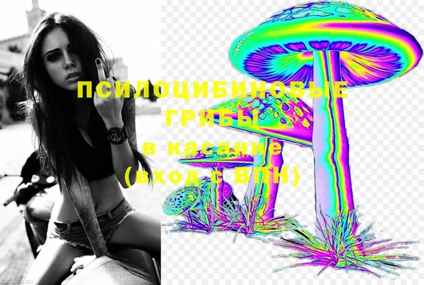 таблы Аркадак