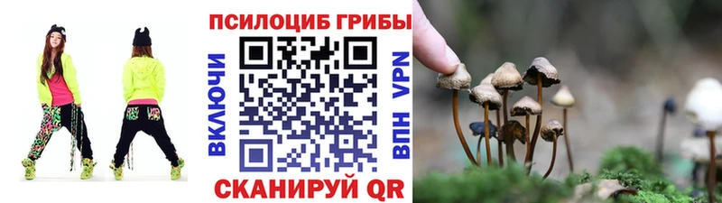 Псилоцибиновые грибы мицелий  Щёлкино 